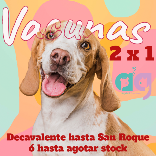 Campaña vacunas