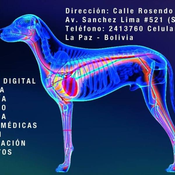Diseño portada